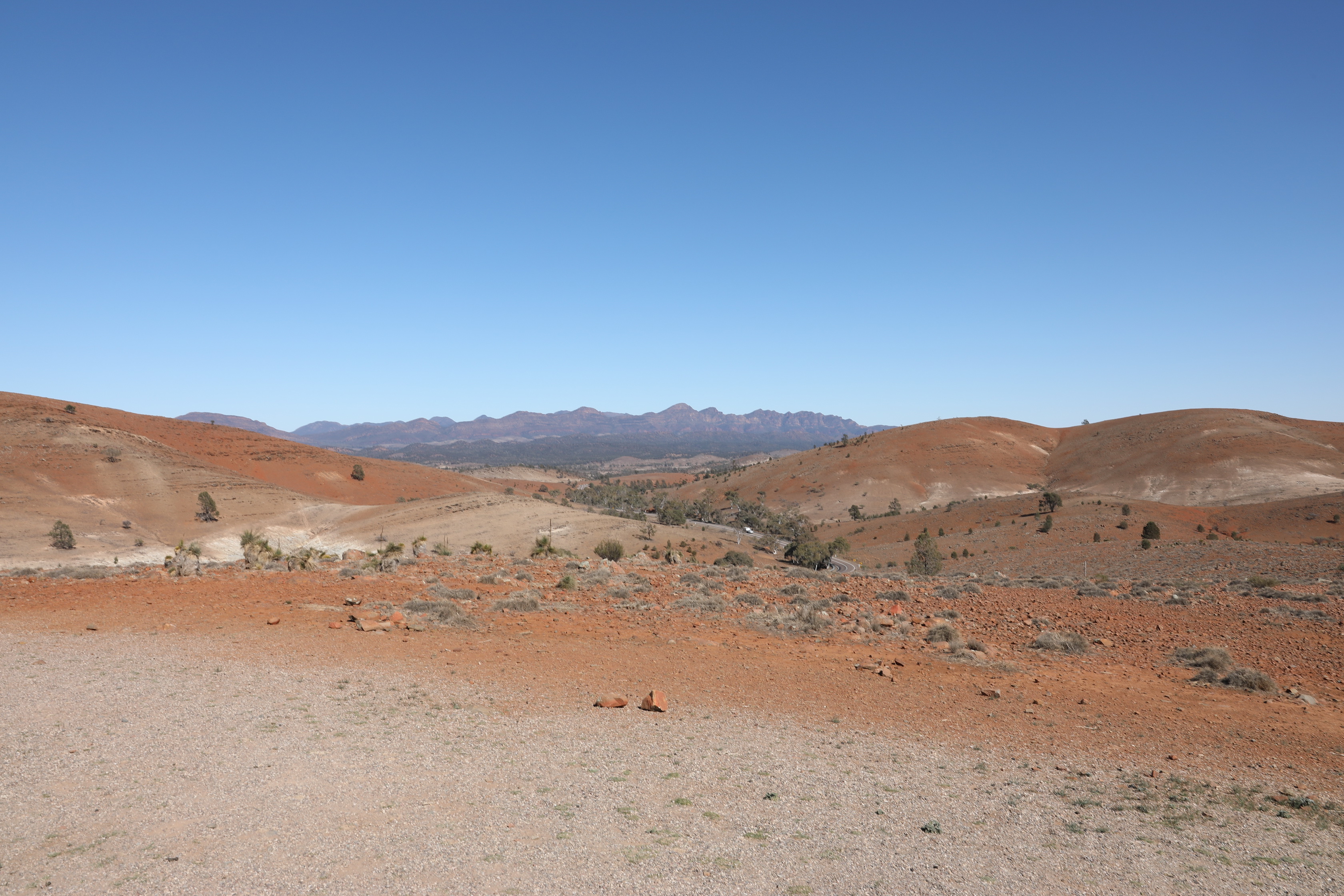 2019 09 01 10 14 02 Canon EOS 5D Mark IV 0001